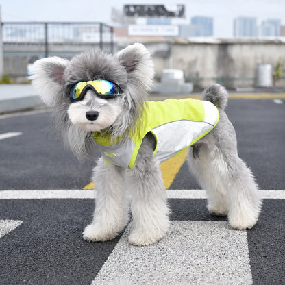 Small dog wearing lime yellow outdoor dog sun vest in street setting