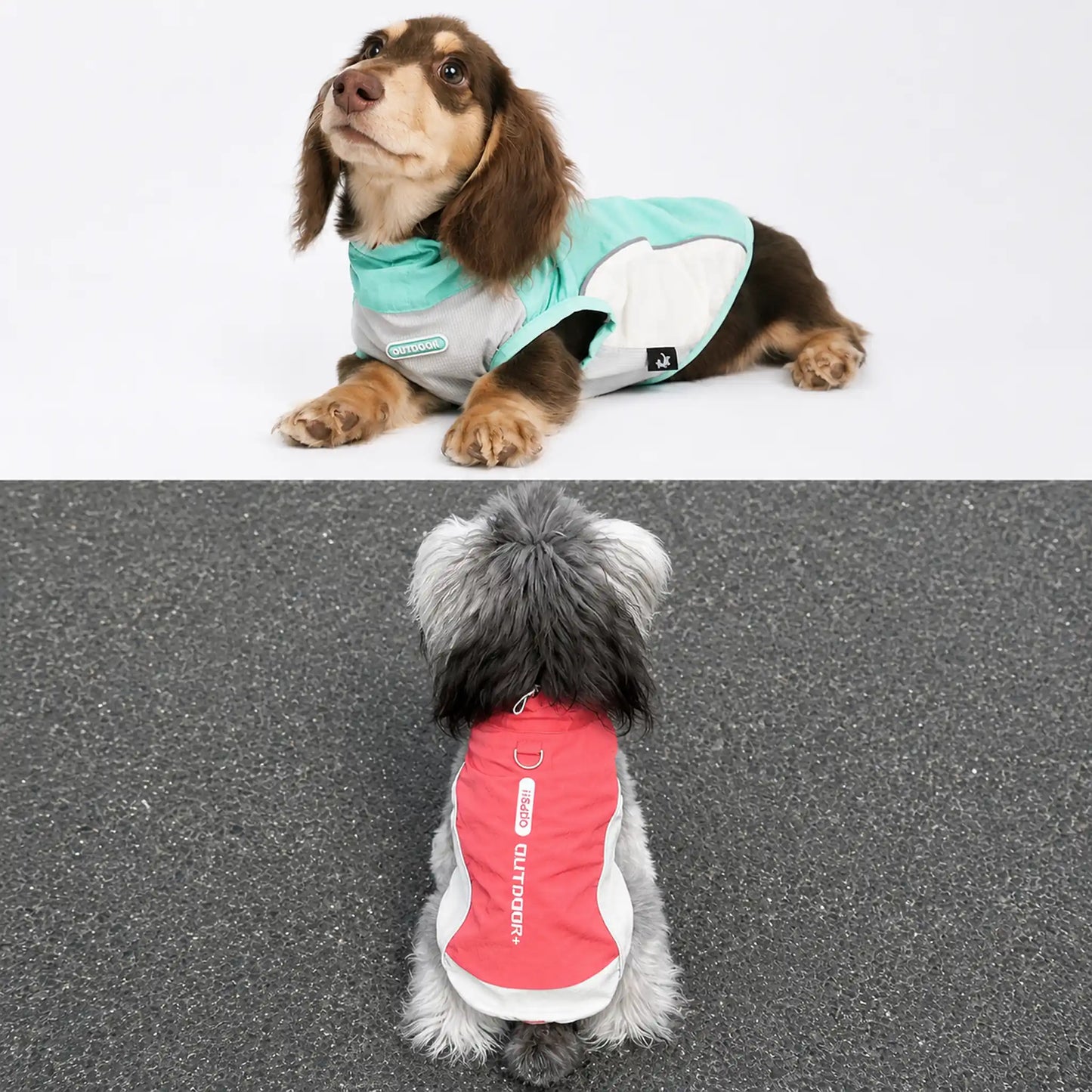 Outdoor dog sun vest lifestyle scenes with mint green and coral red colors