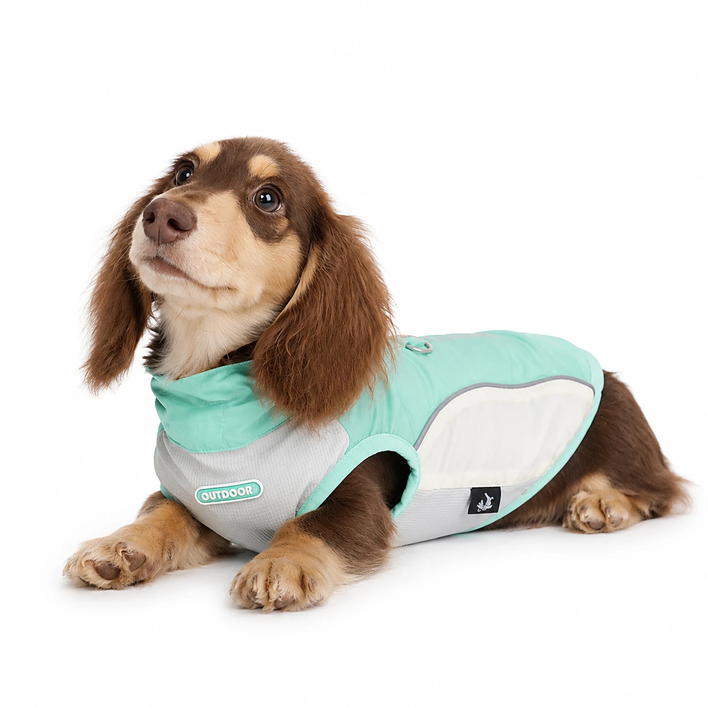 Long-haired dachshund wearing mint green outdoor dog sun vest on white background